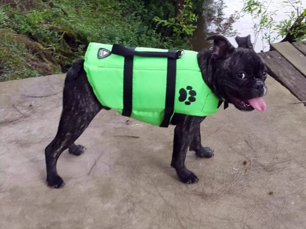 Salvavidas - Aquatic para perro - T-3 Bulldog Francés (11 a 20 Kgs)