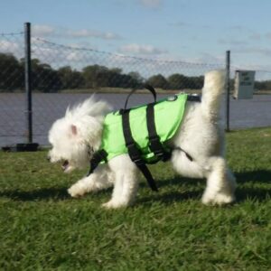 Salvavidas - Aquatic para perro - T-2 Cocker con cuello (6 a 10 kgs)